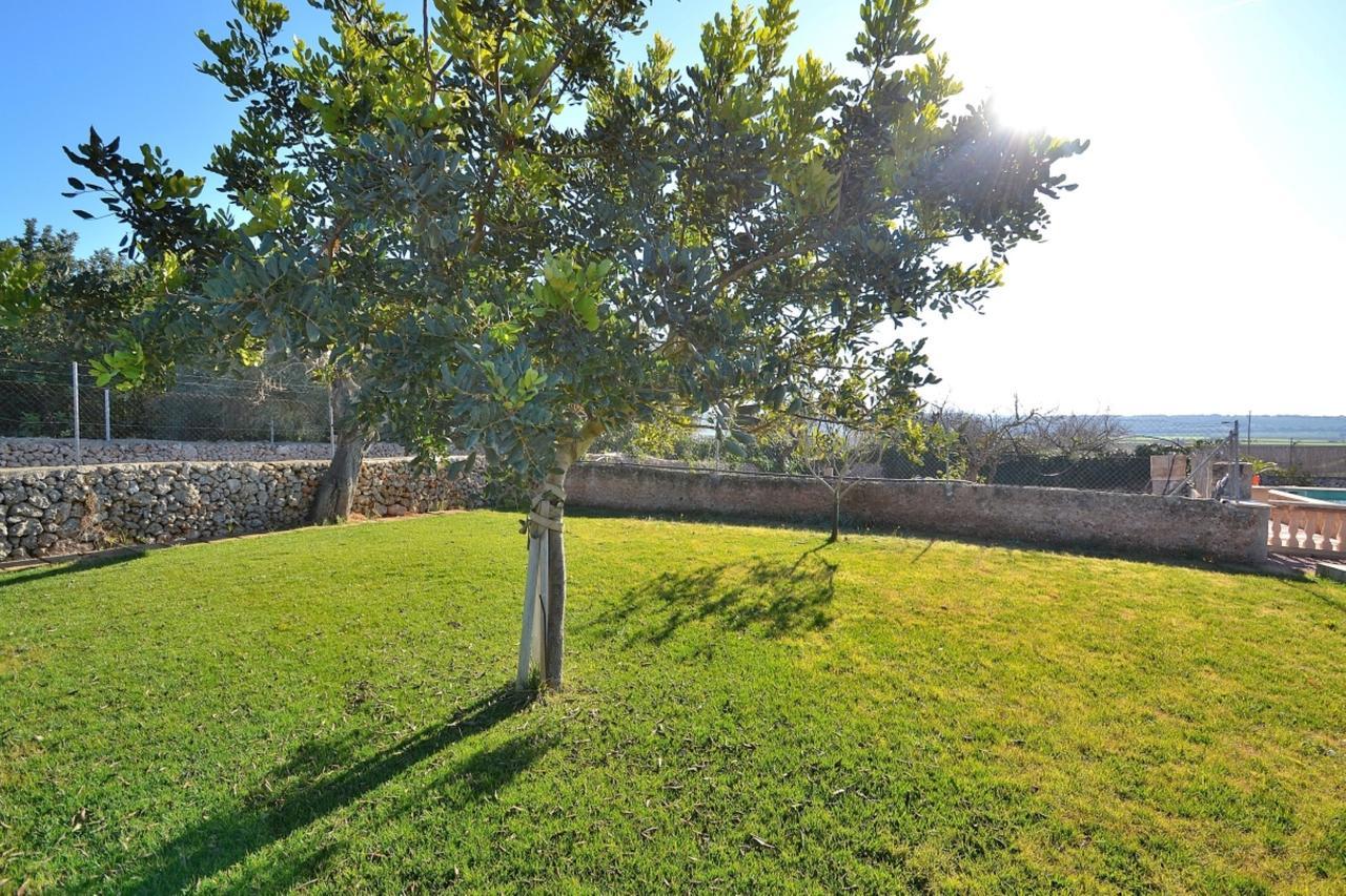 אריאני 078 Finca Sa Rota Vt1953 By Mallorca Charme מראה חיצוני תמונה